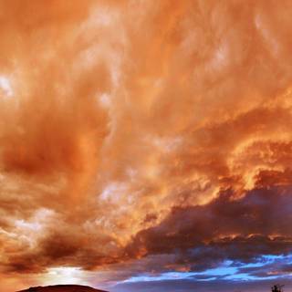 Fiery autumn wallpaper