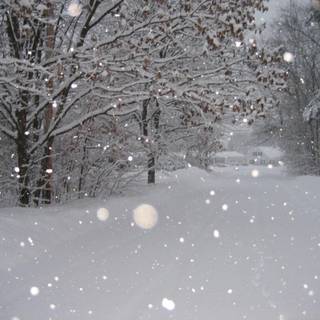 Winter storm wallpaper