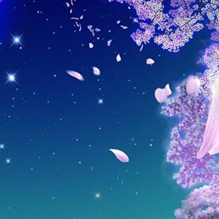 Cherry blossom phone wallpaper