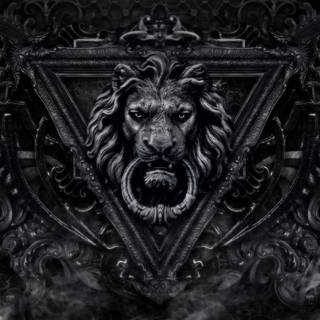 Lion black and white wallpaper