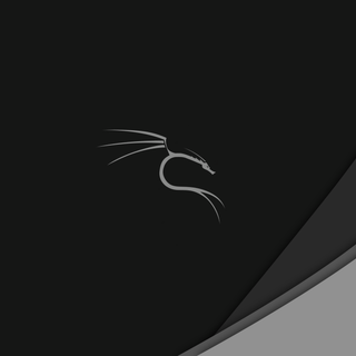 Kali Linux desktop wallpaper