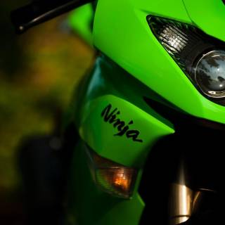 Kawasaki Ninja 1000 green wallpaper