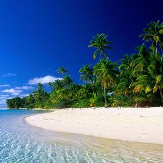 Computer beach wallpaper