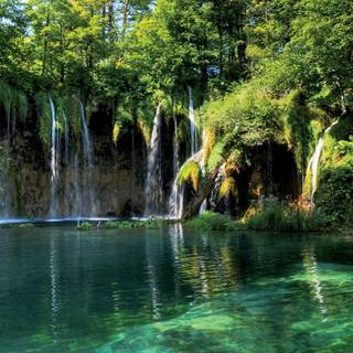 Cascades in forest wallpaper