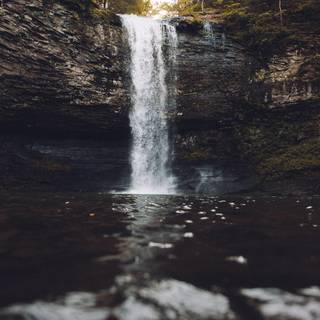 Cascades in forest wallpaper