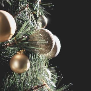 Cardinals bauble wallpaper