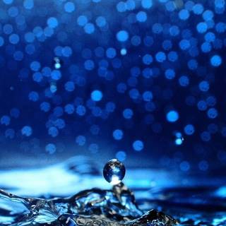 Lemon and sparkling water wallpaper