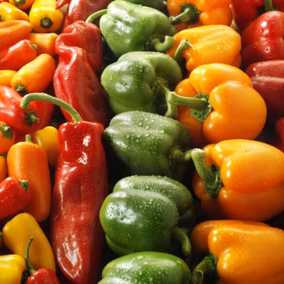 Sweet peppers wallpaper