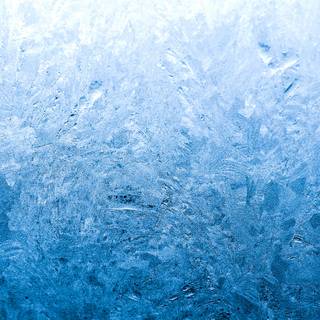 Iced wallpaper