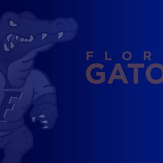 Gators desktop wallpaper