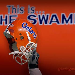 Gators desktop wallpaper