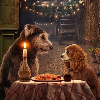 Lady and the Tramp 2019 wallpaper
