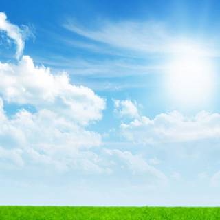 Green field mobile wallpaper