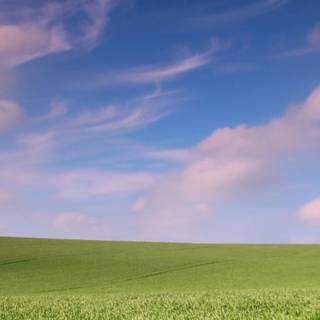 Green field mobile wallpaper