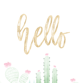 Colorful cactuses aesthetic wallpaper