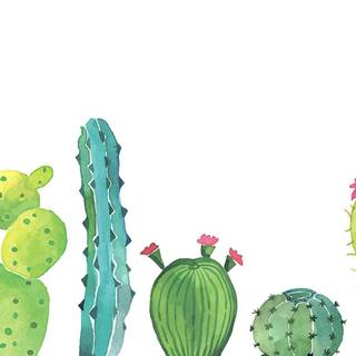 Colorful cactuses aesthetic wallpaper