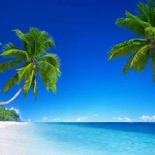 Fiji desktop wallpaper