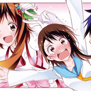Nisekoi desktop wallpaper