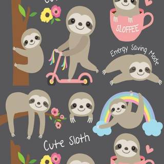 Cute sloth wallpaper