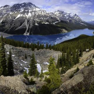 Peyto Lake Banff National Park wallpaper
