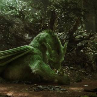 Pete's Dragon wallpaper