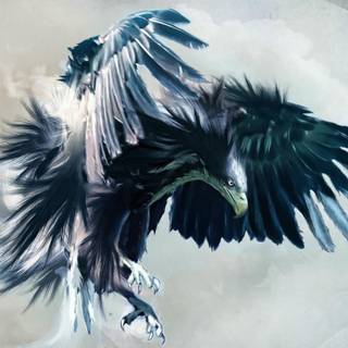 Raven animal wallpaper