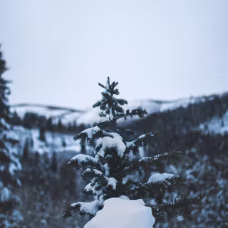 Winter VSCO wallpaper