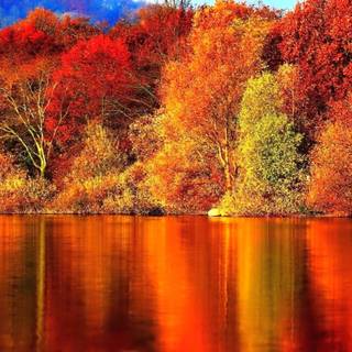 Amazing autumn reflections wallpaper