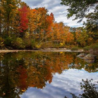 Amazing autumn reflections wallpaper