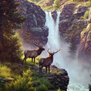 Boats of Portofino Mark Keathley wallpaper