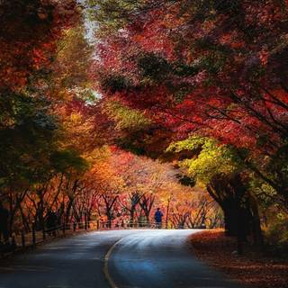 Red tunnel wallpaper