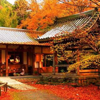 Autumn Japan wallpaper