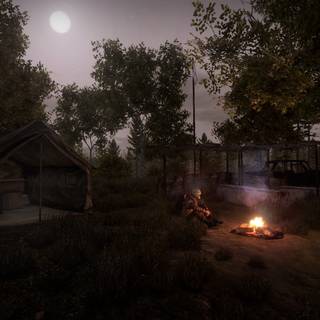 Survival desktop wallpaper