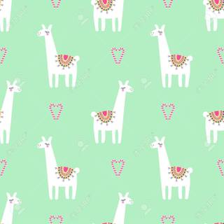 Cute llama wallpaper