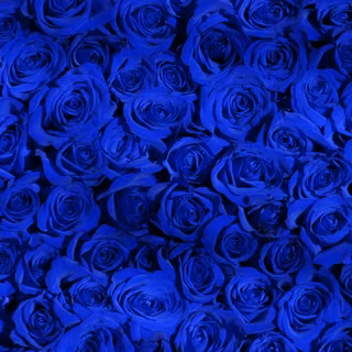 Blue iPhone wallpaper