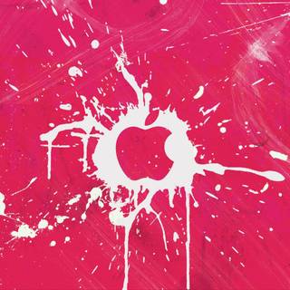 PINK brand wallpaper