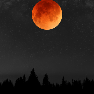 Blood phone wallpaper