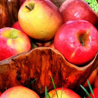 Fruit mobile wallpaper