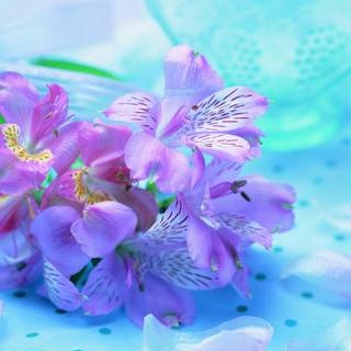 Beautiful Iris flower wallpaper