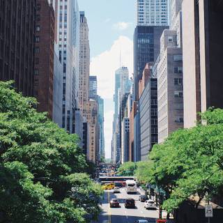 Best iPhone 11 wallpaper