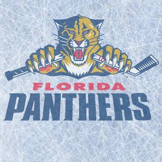 Florida Panthers HD wallpaper