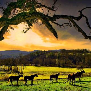 Relaxing weekend wallpaper