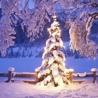 Snowing Christmas lantern wallpaper