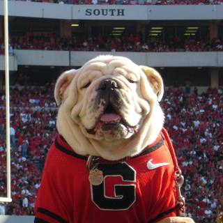 Sanford Stadium desktop wallpaper