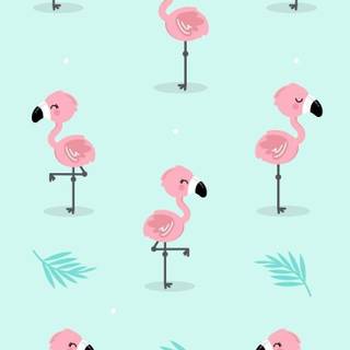 Flamingo Android wallpaper