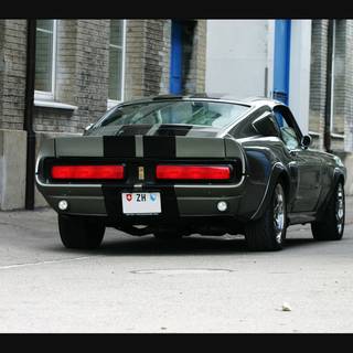 Queen eleanor wallpaper