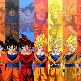 Dragon Ball Z Fighters wallpaper