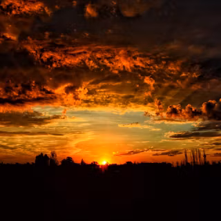 Neon sunset wallpaper