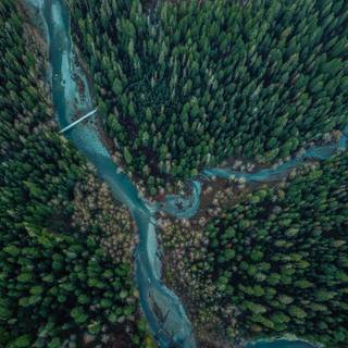 Winter creek wallpaper