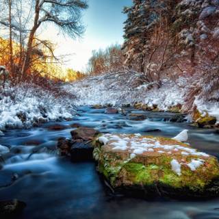 Winter creek wallpaper